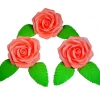 Róża Fantazja 3 (łososiowa ciemna) Średnica róży:5cm