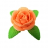Róża M1(łososiowa jasna) Średnica róży:7cm