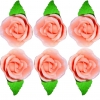 Róża zestaw R6(łososiowy jasny) Średnica róży:5cm