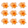 Storczyk Hokus(10szt. w opak.)(pomarańczowy) Średnica kwiatu:6cm